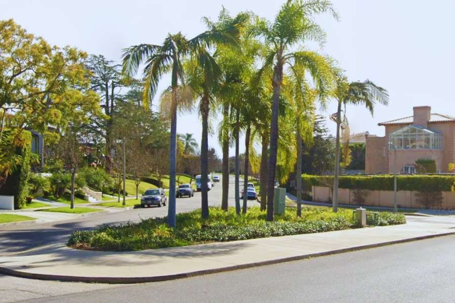 Palm-lined intersection in Beverly Hills