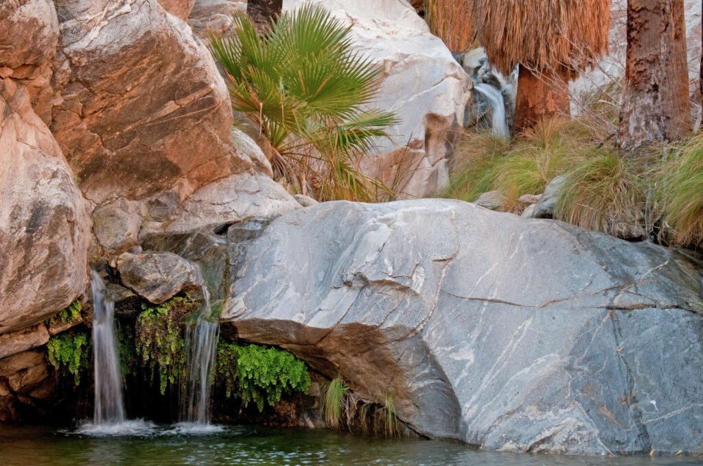 Waterfall and palm trees along rocky trail in Murray Canyon Palm Springs
