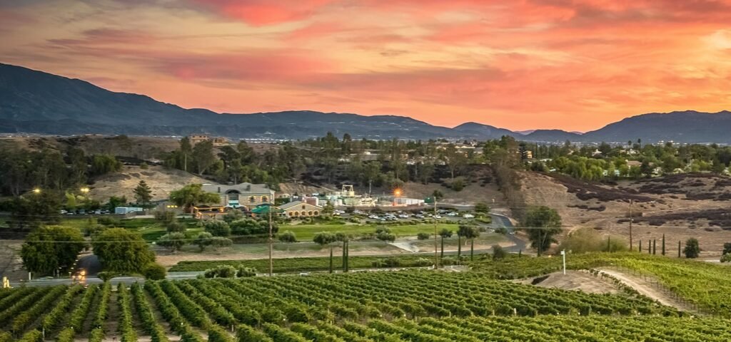 Sunset view over craft wineries in Temecula Valley with vineyards and rolling hills