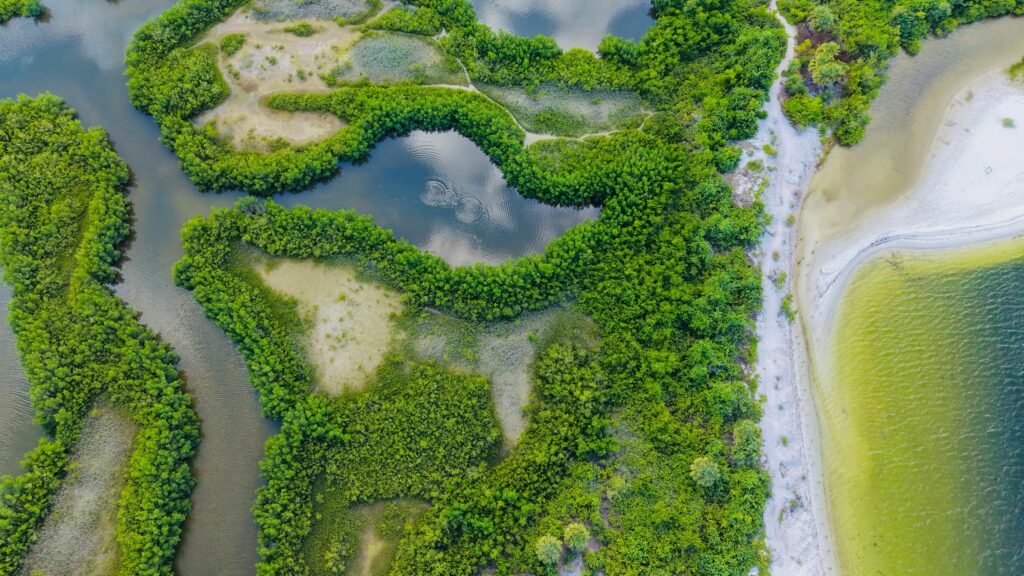 Drone photo of Florida mangroves and coastal waters, a top spot for mangrove kayaking in Miami.