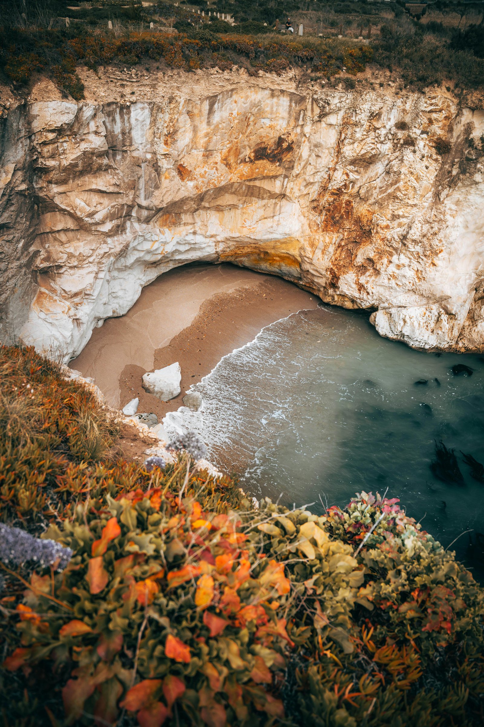 A secluded hidden cove surrounded by tall cliffs with soft waves reaching a small sandy beach and colorful coastal plants in the foreground.