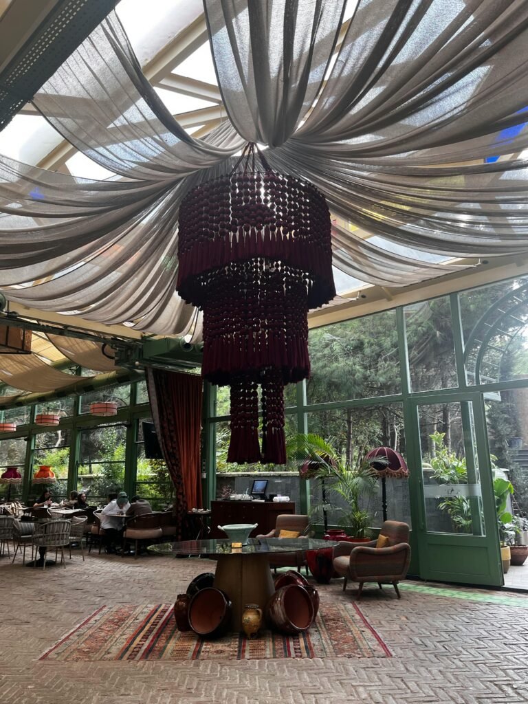 Interior of a cozy café for reading and relaxing with elegant chandelier, soft lighting, and comfortable seating surrounded by greenery.