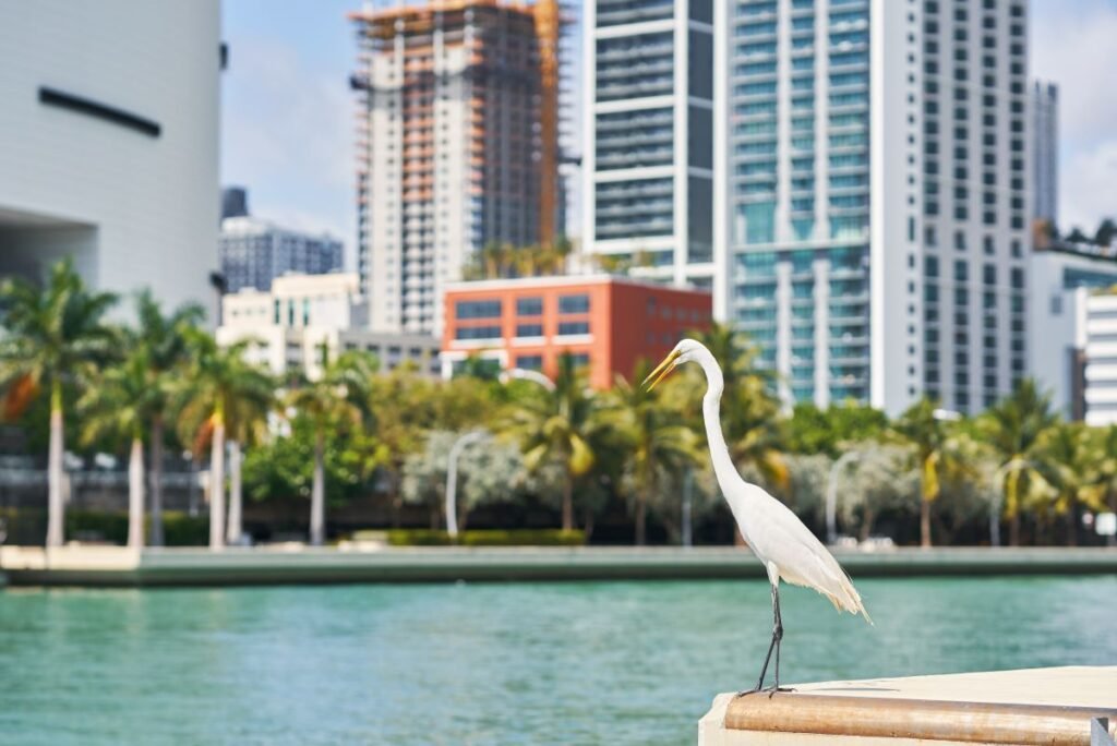 Leading Hotels and Unique Places to Stay in Miami