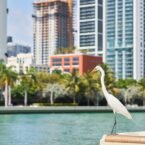 Leading Hotels and Unique Places to Stay in Miami