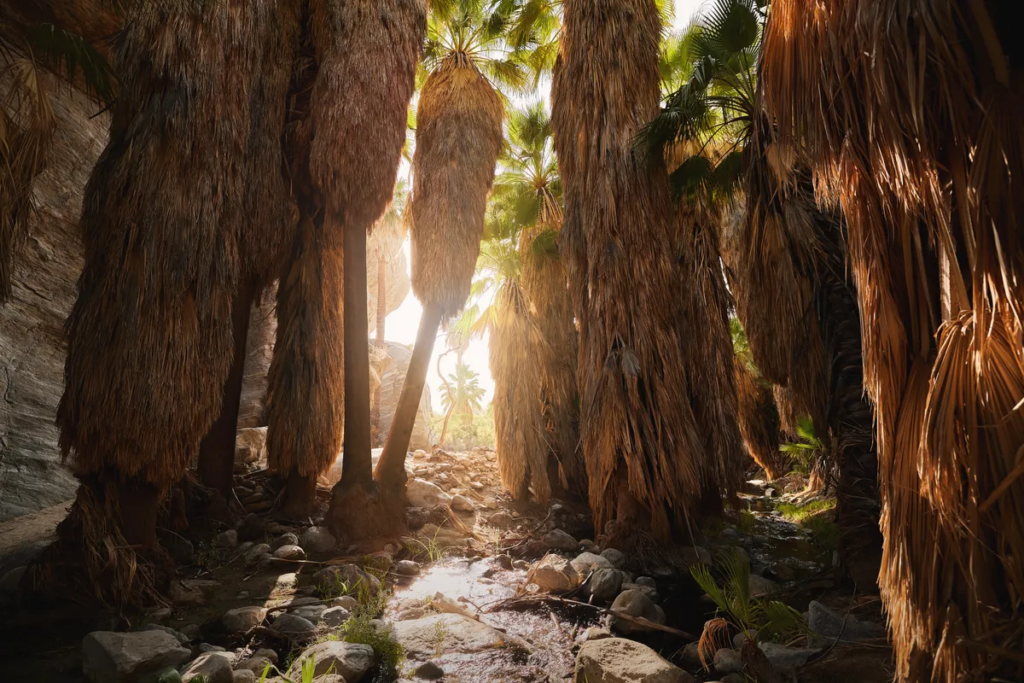 Indian Canyons
