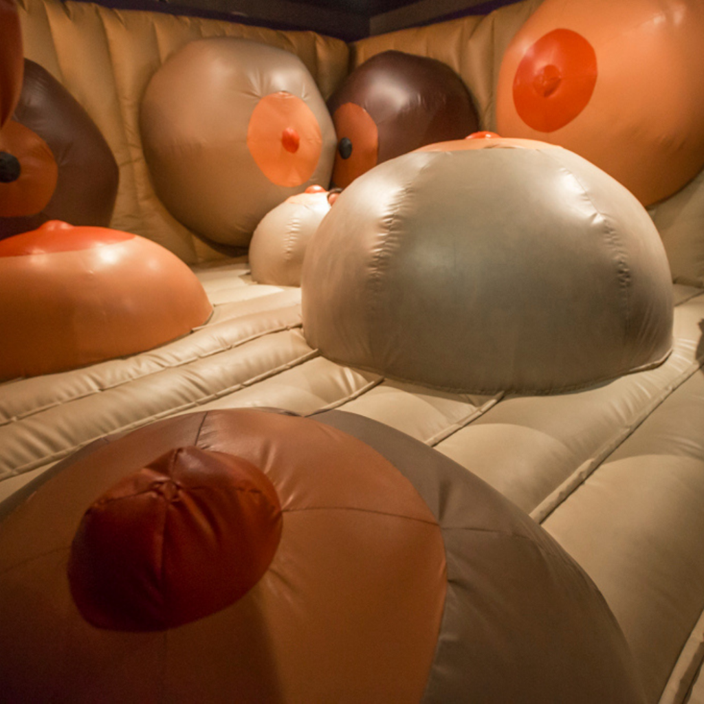 Museum of Sex NYC