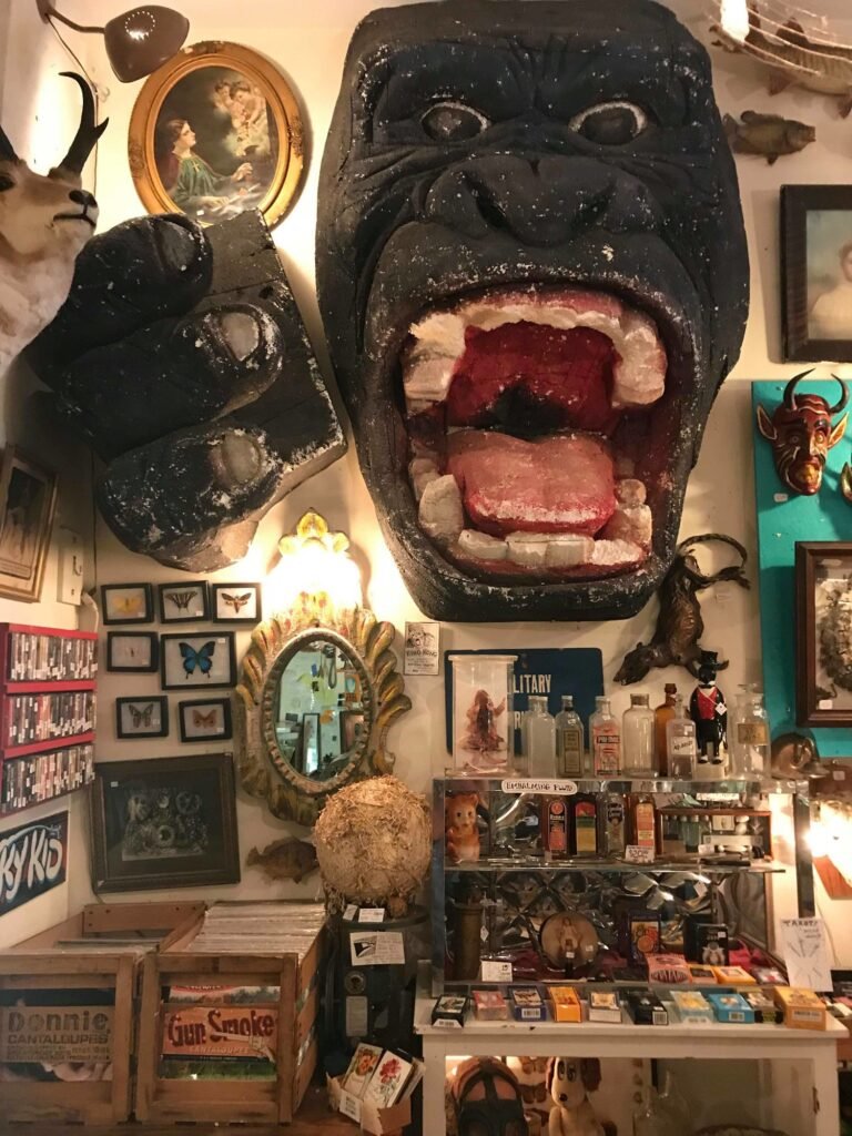 Woolly Mammoth Antiques and Oddities in Chicago, Illinois