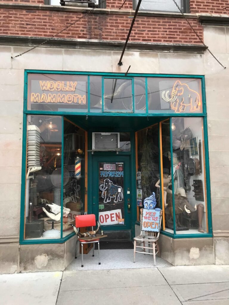 Woolly Mammoth Antiques and Oddities in Chicago, Illinois