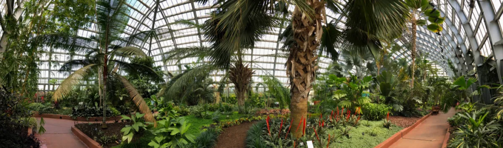 Garfield Park Conservatory
