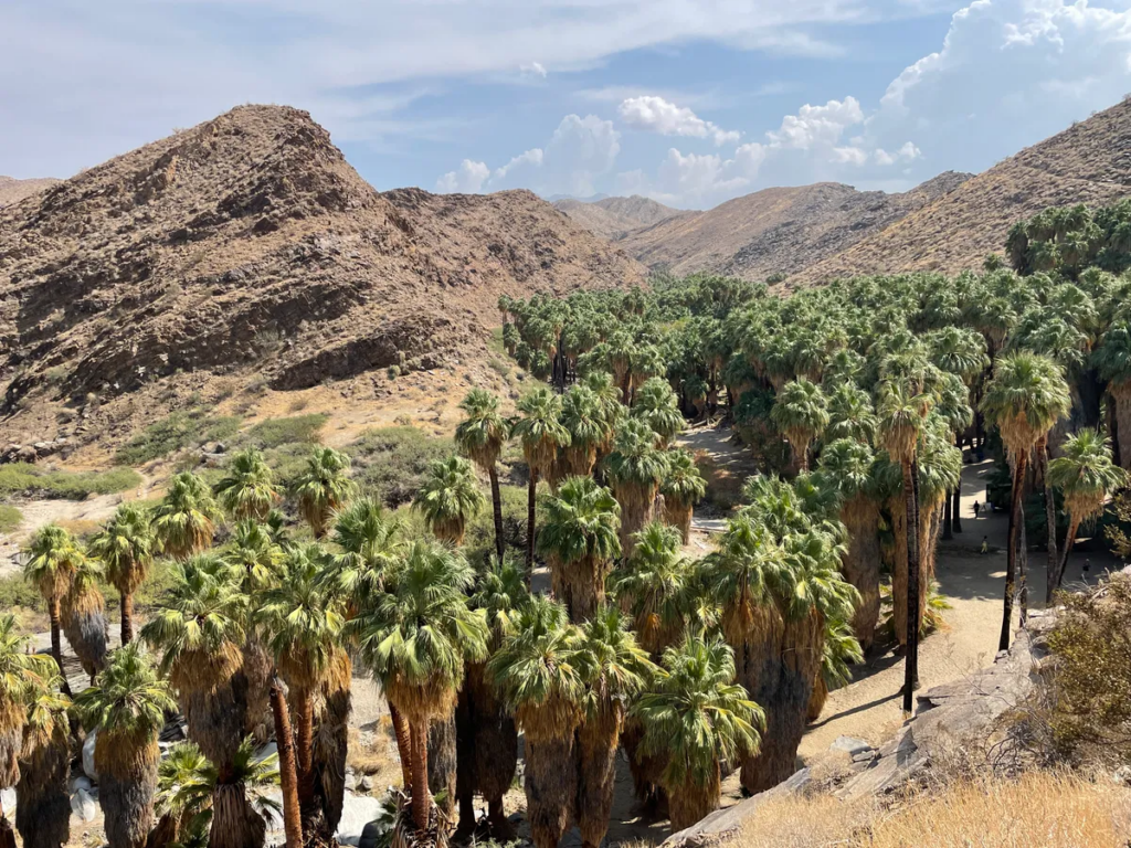 Indian Canyons