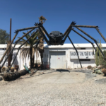 Volkswagen Spider