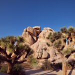 Most Exciting & Budget-Friendly Places to Visit in Palm Springs