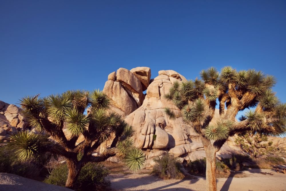 Most Exciting & Budget-Friendly Places to Visit in Palm Springs