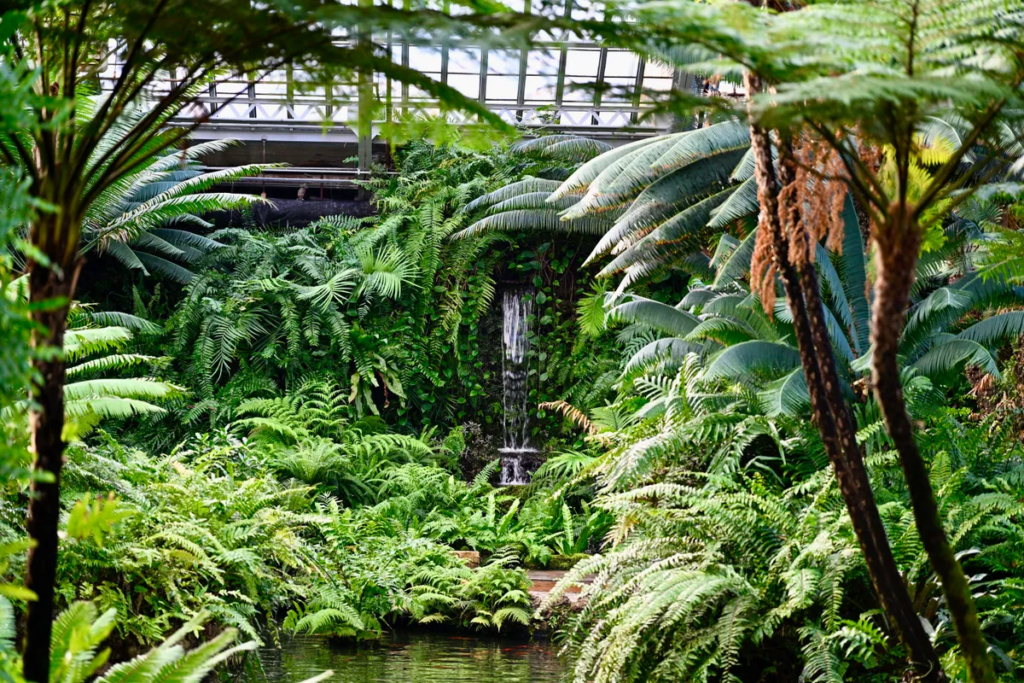 Garfield Park Conservatory