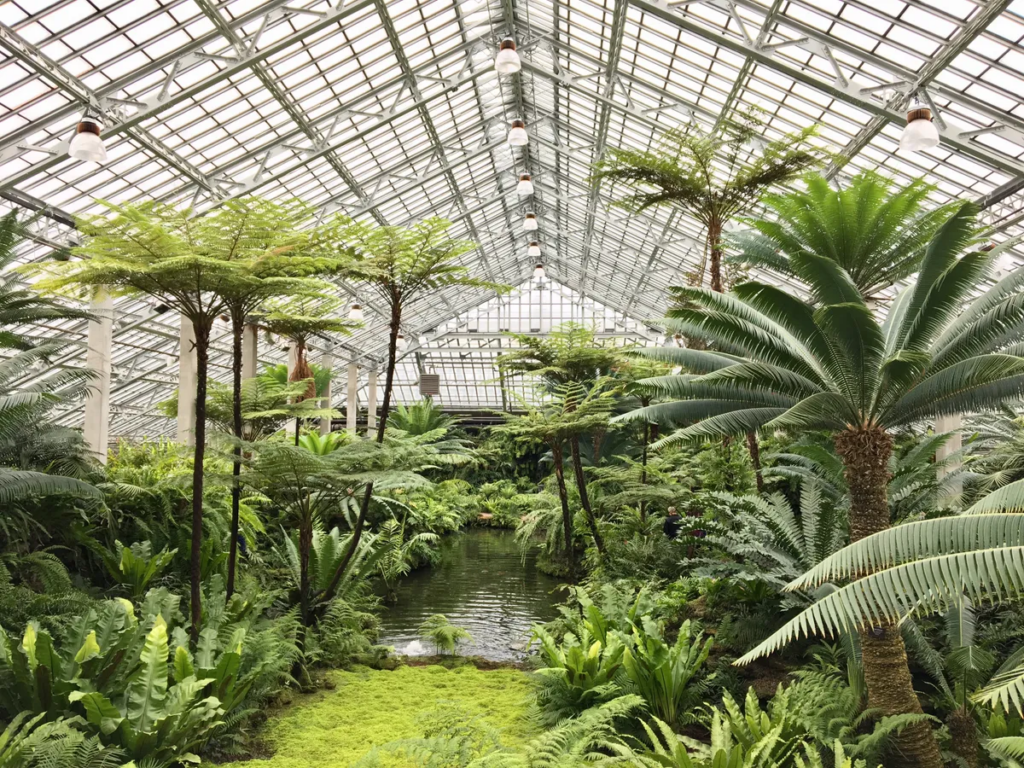 Garfield Park Conservatory