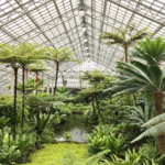 Garfield Park Conservatory