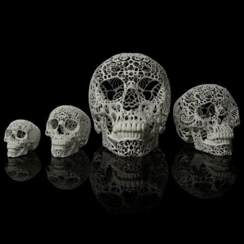 The Evolution Store NYC