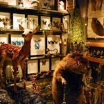 Taxidermy fawn and crowned beaver surrounded by framed butterflies, peacock feathers, and oddities at Gold Bug Pasadena curiosity shop.