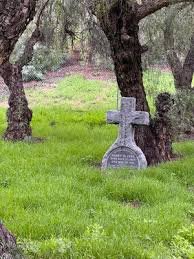 Stone cross headstone beneath twisting oak trees in Fallbrook Odd Fellows Cemetery