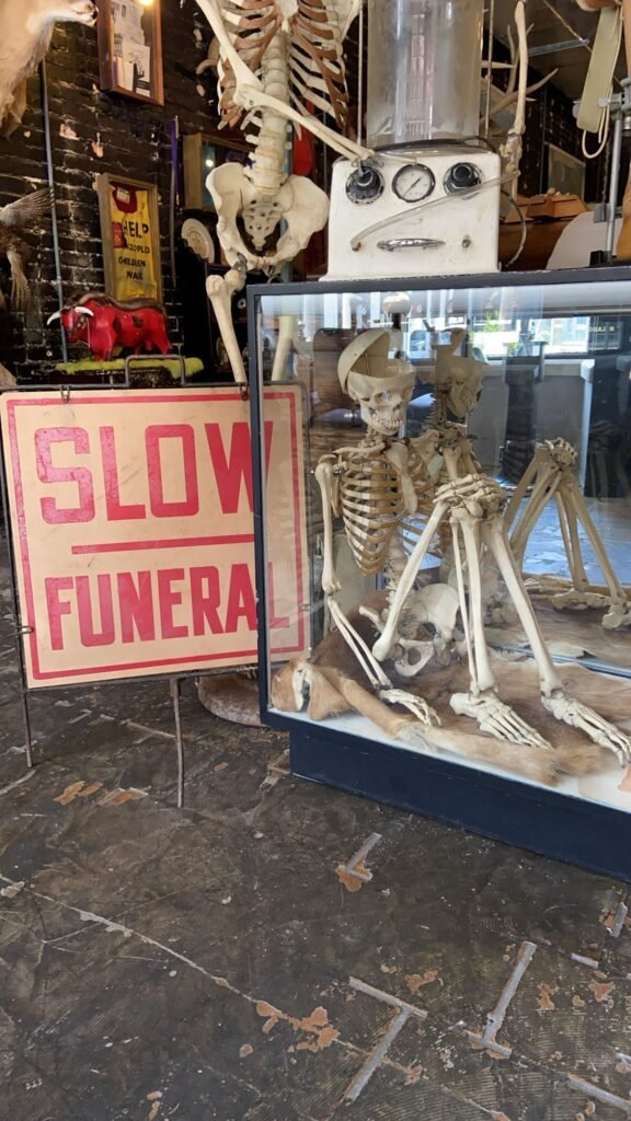 A skeleton display next to a vintage red “SLOW FUNERAL” sign at Dysfunctional Grace Tampa, featuring antique medical and anatomical decor.