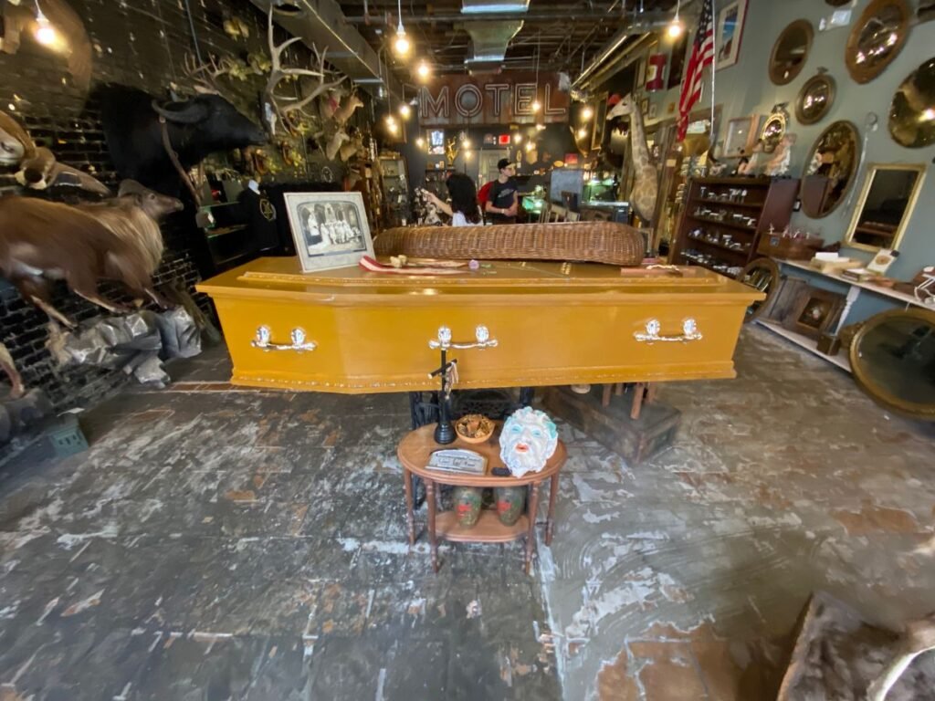 A mustard-yellow coffin table surrounded by taxidermy, vintage photos, and gothic curiosities inside Dysfunctional Grace Tampa.