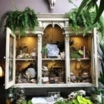 Interior view of The Terrorium Shop featuring black metal shelves filled with potted plants, glass domes holding small skulls and pinned insects, and cascading hanging greenery.