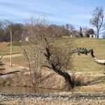 Ankylosaurus and other dinosaur statues on a grassy hillside beside a creek at Boedecker Sculpture Garden in Nashville.