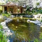 Koi pond bordered by smooth rocks with a traditional teahouse at Storrier Stearns Japanese Garden in Pasadena