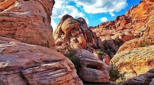 Layered sandstone walls at Calico Hills in Red Rock Canyon, glowing under a bright blue Nevada sky