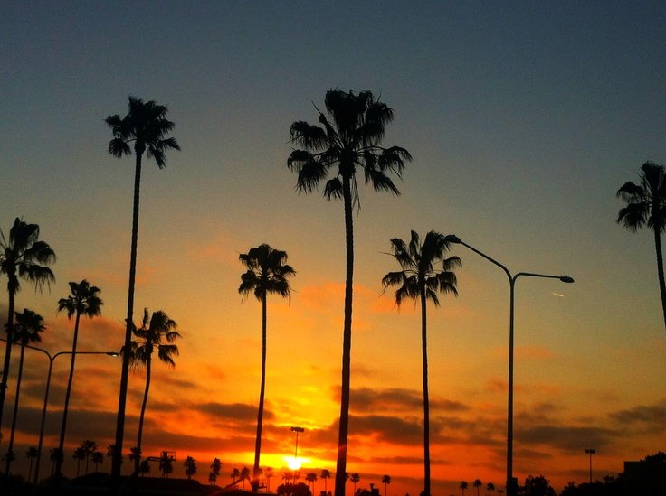 Palm trees silhouetted against a glowing sunset sky in Orange County, California — a perfect weekend view.