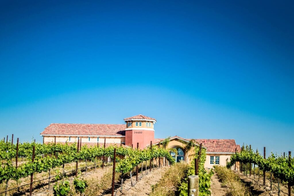 Boutique vineyard and tasting room at a craft winery in Temecula under clear blue sky