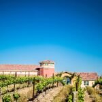 Boutique vineyard and tasting room at a craft winery in Temecula under clear blue sky