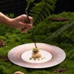 Chef plating gourmet food inspired by Denver breweries and food scene in a nature-style setting.
