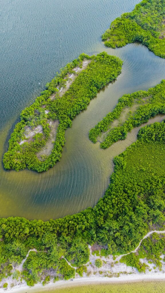 Aerial view of mangrove forests and winding waterways near Miami, perfect for mangrove kayaking adventures.